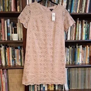 Ann Taylor Pink Lace Mini Dress